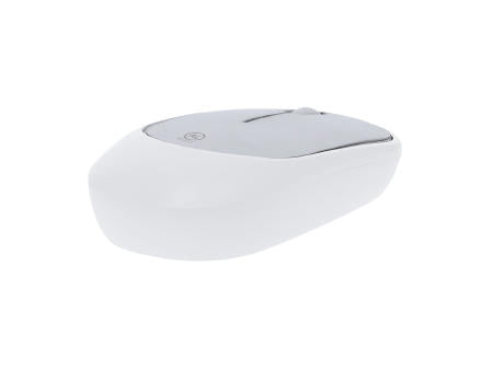 Maus Doryt RCS