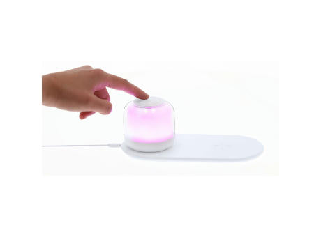 Ladegerät Lampe Reginal