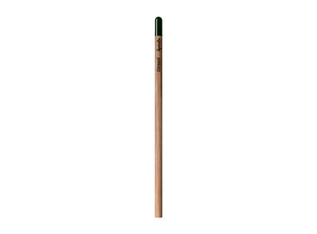 Sprout™ | Bleistift