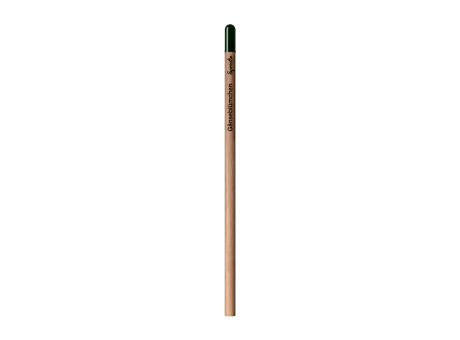 Sprout™ | Bleistift