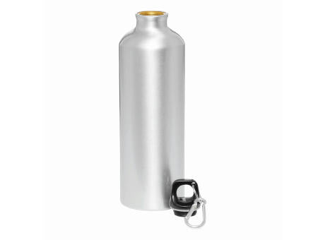 BIG TRANSIT - Aluminium-Trinkflasche