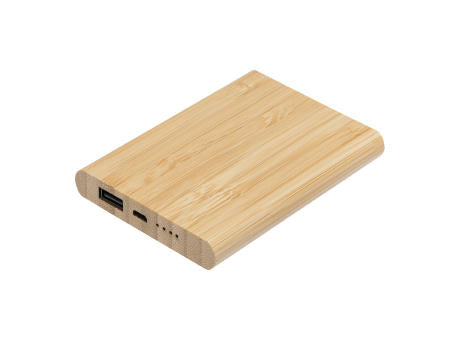 BAMBOO EVOLUTION - Powerbank