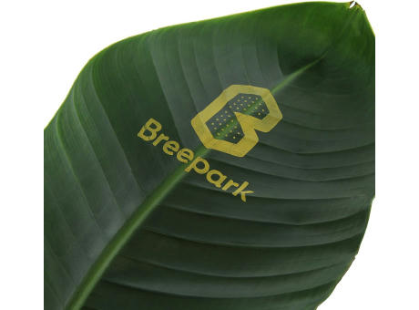 Message Printz® - Strelitzia small