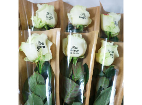 Message Printz® - Rose