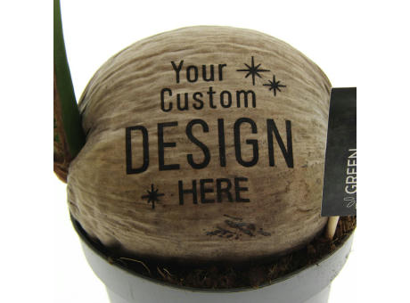 Green Brandingz® - Kokosnussbaum