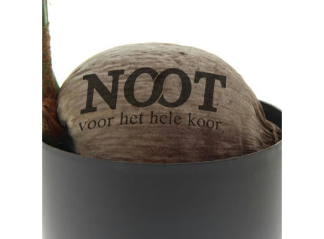 Green Brandingz® - Kokosnussbaum