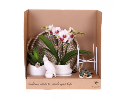 Botanical Giftset large - White Serenity