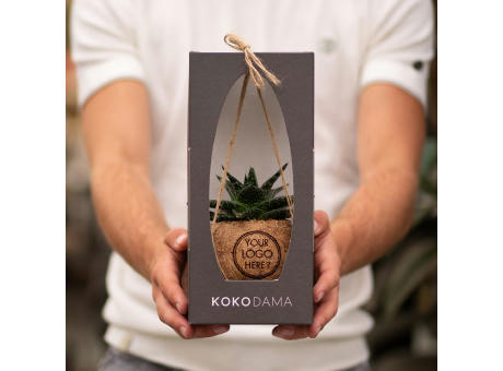 Kokodama® - Easy care mix (S)
