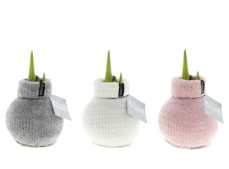 No Water Flowers® - Fashionz Cozy Fluffy mix