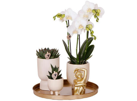 Botanical Giftset large - Travertine Charm