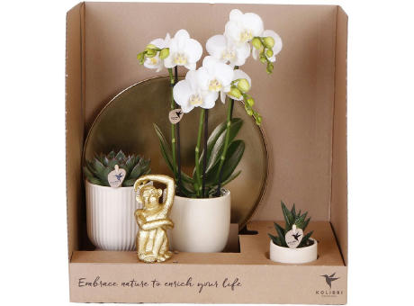 Botanical Giftset large - Travertine Charm