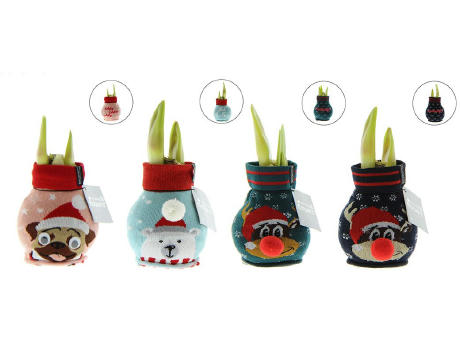 No Water Flowers® - Fashionz Xmas Silly mix