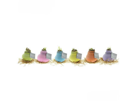 No Water Flowers® - Sugar pastel mix