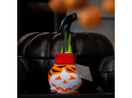 No Water Flowers® - Fashionz Halloween mix