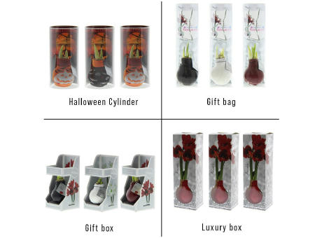 No Water Flowers® - Fashionz Halloween mix