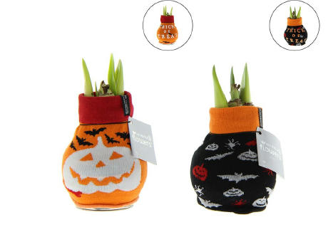 No Water Flowers® - Fashionz Halloween mix