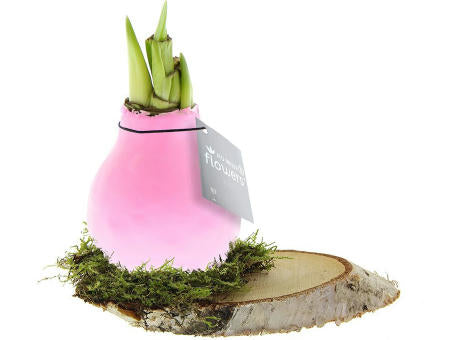 No Water Flowers® - Waxz® on wood