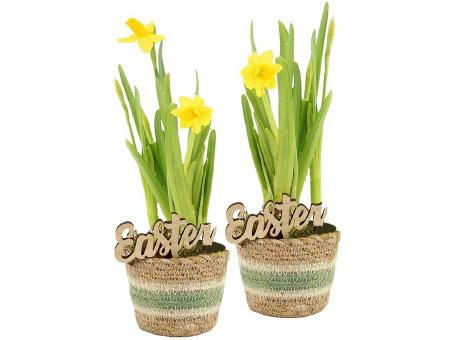 Easter basket small - Narzisse