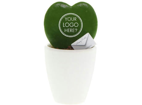 Message Printz® - Herzblatt-Pflanze