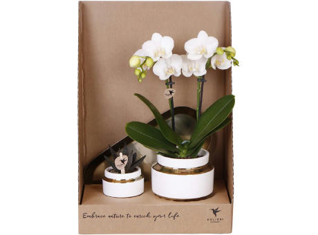 Botanical Giftset small - Luxury Gold