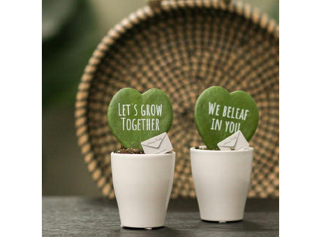 Message Printz® - Herzblatt-Pflanze