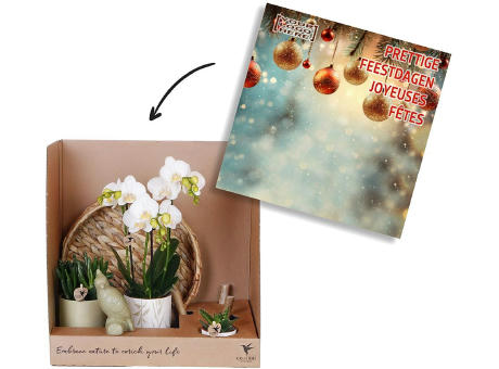 Botanical Giftset small - Luxury Gold