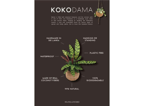 Kokodama® - Hanging easy care mix (S)