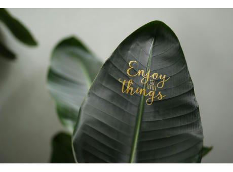 Message Printz® - Strelitzia large