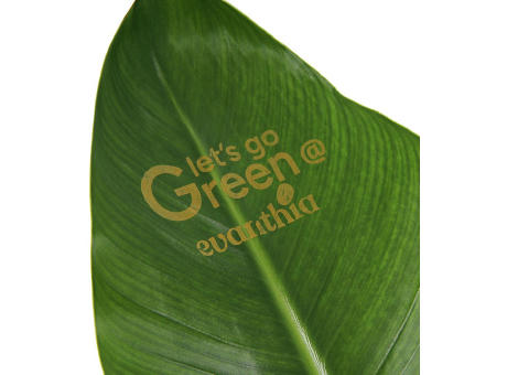 Message Printz® - Strelitzia large