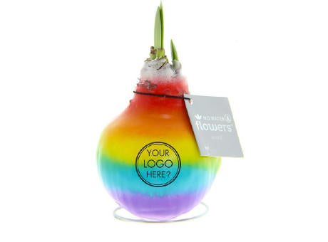 No Water Flowers® - Rainbow