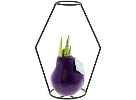 No Water Flowers® - Formz modern