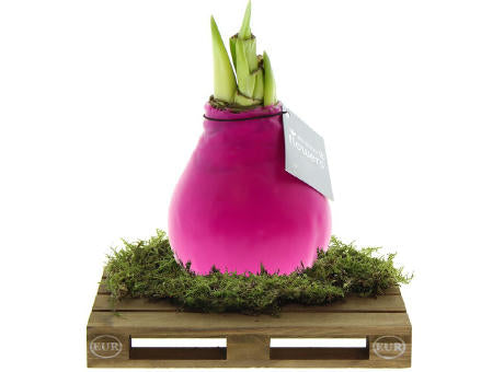 No Water Flowers® - Waxz® on pallet