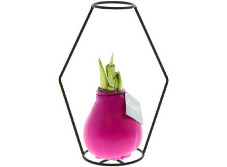 No Water Flowers® - Formz modern