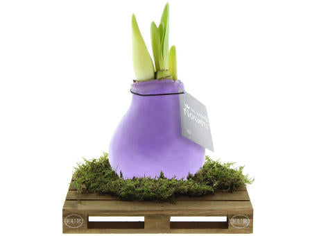 No Water Flowers® - Waxz® on pallet