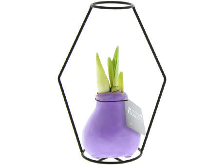 No Water Flowers® - Formz modern