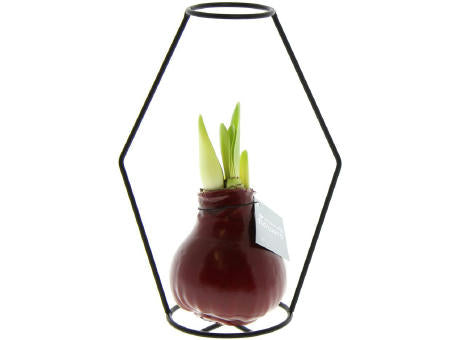 No Water Flowers® - Formz modern
