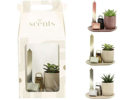 Aromatic Giftset large
