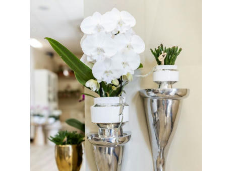 Botanical Giftset small - Luxury Silver