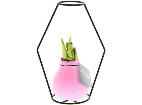 No Water Flowers® - Formz modern