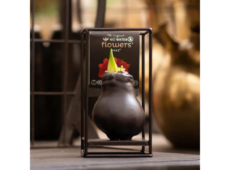 No Water Flowers® - Formz industrial