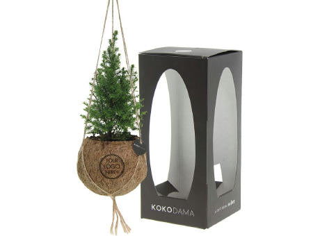 Kokodama® - Christmas tree (S)