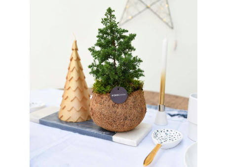 Kokodama® - Christmas tree (S)