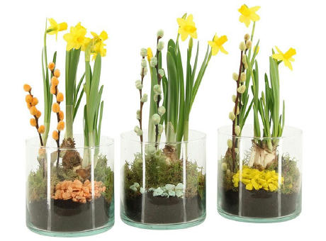 Easter glass medium - Narzisse
