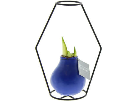 No Water Flowers® - Formz modern