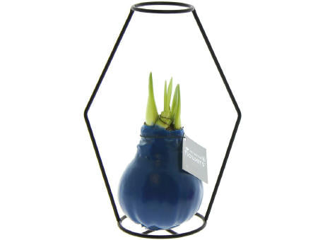 No Water Flowers® - Formz modern