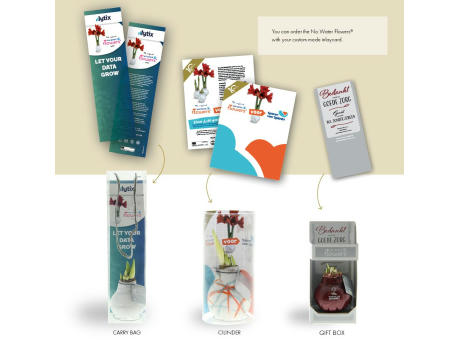 No Water Flowers® - Printz Frohe Weihnachten mix