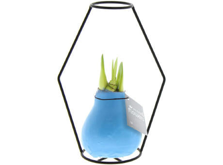 No Water Flowers® - Formz modern