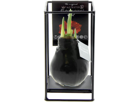No Water Flowers® - Formz industrial