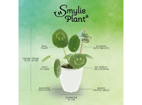 Smylieplant® - Love im Keramiktopf (small)