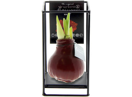 No Water Flowers® - Formz industrial